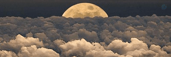 ‌سمیه جهانگیری زرکانی‌'s header picture