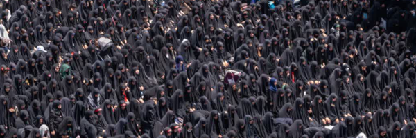 ‌مهدی یار‌'s header picture