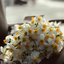 Profile picture of ‌یاصاحِبَنا‌