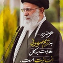 Profile picture of ‌محسن حق‌