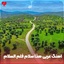 Haza Salam 