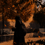Profile picture of ‌نجوا؛🏴‌