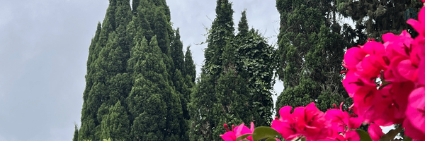 ‌امیر فتحی‌'s header picture