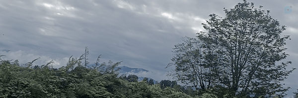 ‌Moein 1355‌'s header picture
