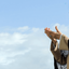 Profile picture of ‌تَبَسُم‌