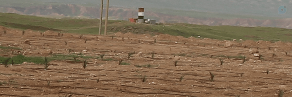 ‌سيد محسن بهرسی‌'s header picture