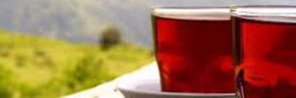 ‌یک فنجان تفکر  / فالوبک‌'s header picture