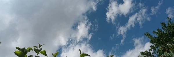 ‌𝖬𝖺𝗁𝗌𝗁𝖺𝖽‌'s header picture