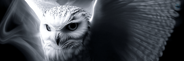 ‌امین‌'s header picture