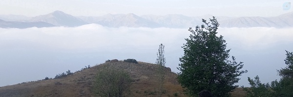‌محمدرضا سلطان احمدی‌'s header picture