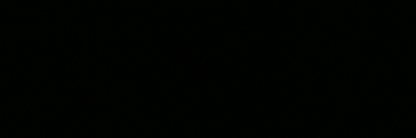 ‌𝒶𝓂𝒾𝓇‌'s header picture