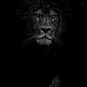 Profile picture of ‌علی تکسوار‌