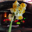 Profile picture of ‌سمیه جوادی‌