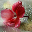 Profile picture of ‌Zahra‌