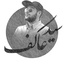Profile picture of ‌سید عاکف موسوی‌