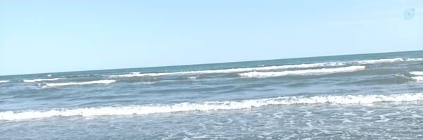 ‌منتقم خونخواه رهبر‌'s header picture