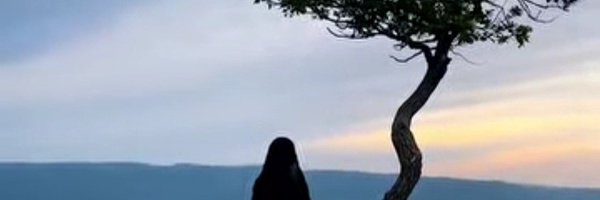 ‌Mobina Fhm‌'s header picture
