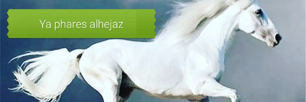 ‌مقداد‌'s header picture