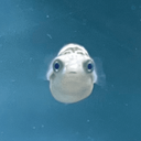 Profile picture of ‌Mania‌