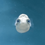 Profile picture of ‌Mania‌