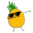 Profile picture of ‌آناناس خانوم🖤‌