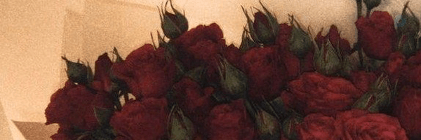 ‌کوکب.‌'s header picture