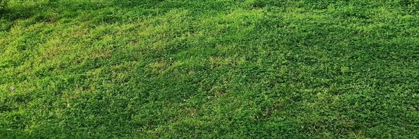 ‌سیدرضا میراسلامی‌'s header picture