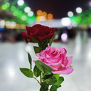 Profile picture of ‌حآ سین♡‌