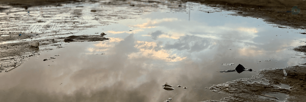 ‌رواق‌'s header picture