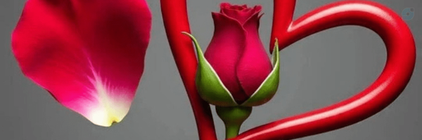 ‌Ph. Fr‌'s header picture