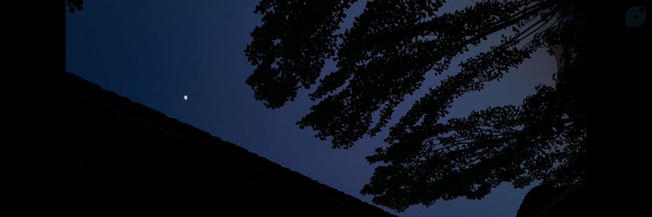 ‌مجنون‌'s header picture