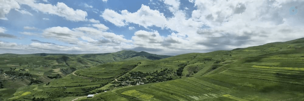‌سلیم شیری‌مِهره‌'s header picture