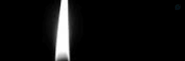‌باوزر‌'s header picture