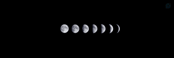 ‌𝐌𝐨𝐡𝐚𝐦𝐦𝐚𝐝 𝐉𝐚𝐯𝐚𝐝‌'s header picture