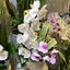 Profile picture of ‌مطهره‌