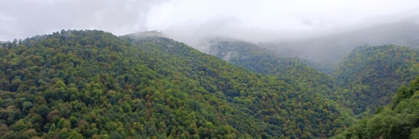 ‌محسن قندهاری‌'s header picture