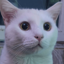 Profile picture of ‌ناطِق‌