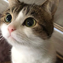 Profile picture of ‌Nima‌