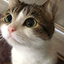 Profile picture of ‌Nima‌
