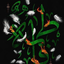 Profile picture of ‌Soldier of Imam Zaman‌