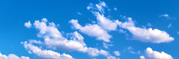 ‌حاج مجید‌'s header picture