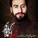 Profile picture of ‌ابو فاضل‌