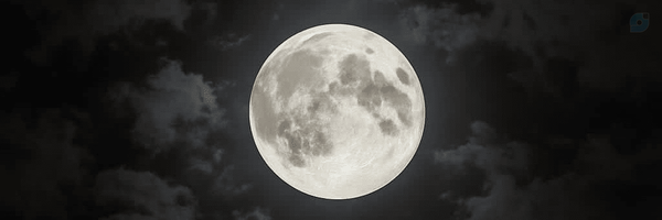 ‌علی سلیمانی‌'s header picture