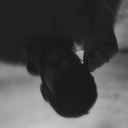 Profile picture of ‌تُرابْـــ🚩‌