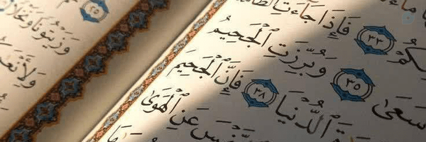 ‌یاصاحب الزمان(عج) ³¹³‌'s header picture