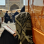 Profile picture of ‌|خآنومِ‌مَهدیـه|🇮🇷|‌