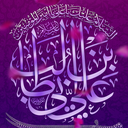 Profile picture of ‌سیدمیثم مهدوی شهری‌