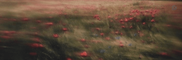 ‌نوراهستم؛‌'s header picture