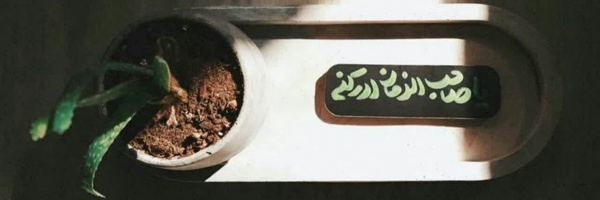 ‌نـــورا♡‌'s header picture