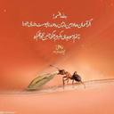 Profile picture of ‌هیچکس‌